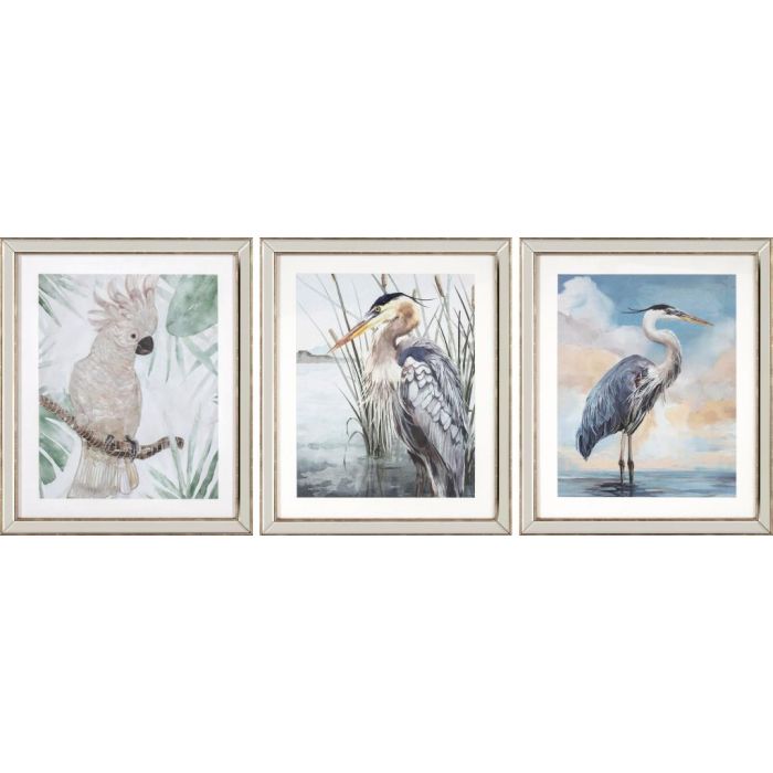 DKD Home Decor Cuadro de Pared Mediterráneo Lienzo y PS con Ave Azul Beige 56x66x1.6 cm - Set de 3