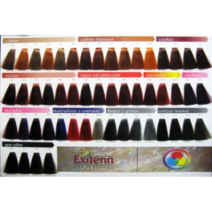 Exitenn Color Creme 60ml Color 560 Borgoña 2 Exitenn Color Creme 60ml Color 560 Borgoña 2