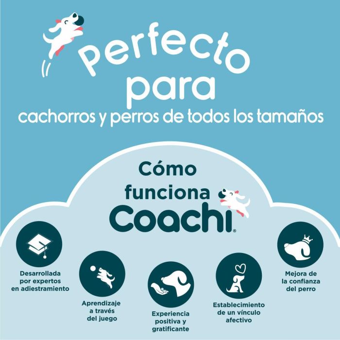 Coachi Pro Train & Treat Bag - Bolsa de Recompensas Grande para Adiestramiento y Paseo Perros Azul-Coral con Cierre Magnético y Bolsillo 2