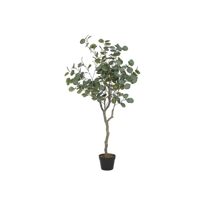 Planta Urban DKD Home Decor Verde Marron 50 x 120 x 50 cm (2 Unidades) Planta Urban DKD Home Decor Verde Marron 50 x 120 x 50 cm (2 Unidades)