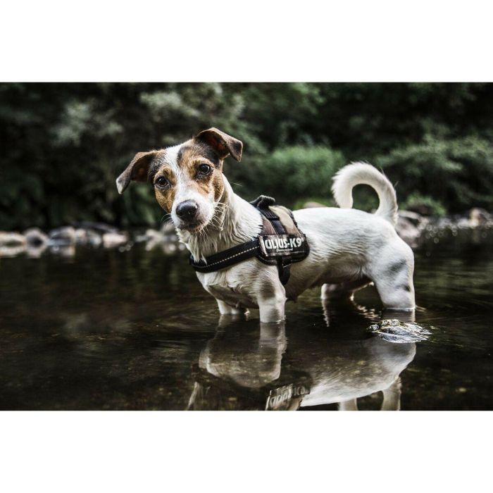 Arnés para Perro Julius K9 Power XL 3 2