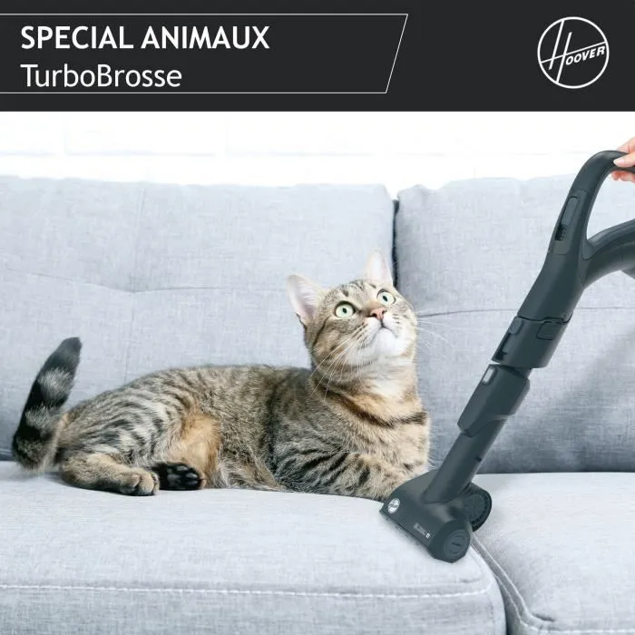 Hoover Aspirador Bidón Sin Bolsa HP720PET - 850 W - 68 dBA - Cassette 2 L - Especial Animales y Parquet 4