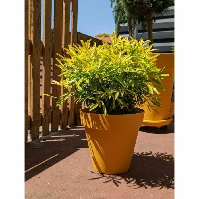 Riviera RIV3580794160366 Jardinera Redonda SOLEILLA Plástico, Diámetro 60 cm, Amarillo