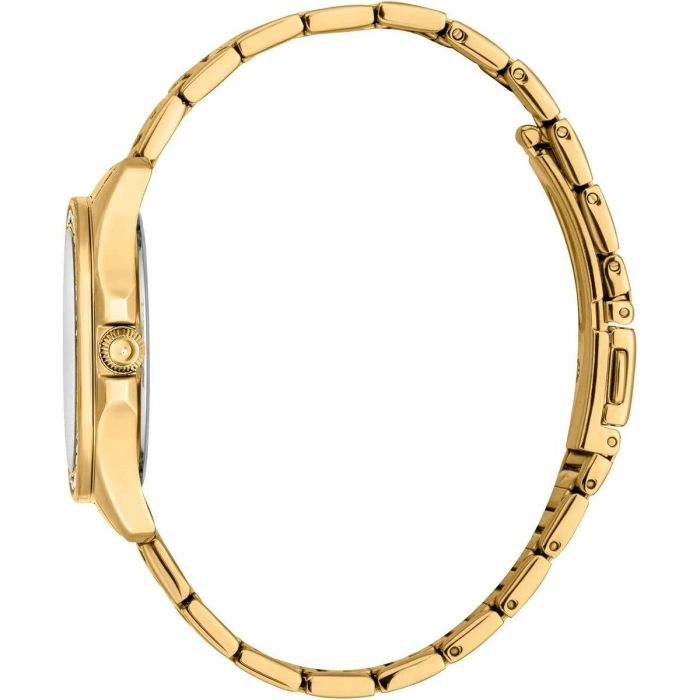 Reloj Mujer Just Cavalli JC1L263M0055 4