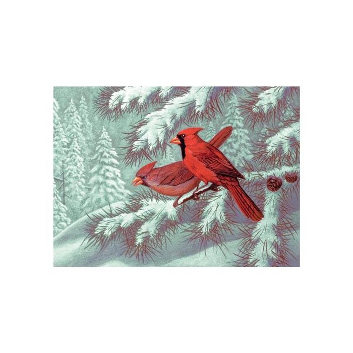 Royal langnickel pintura por números adultos lg "cardenales"
