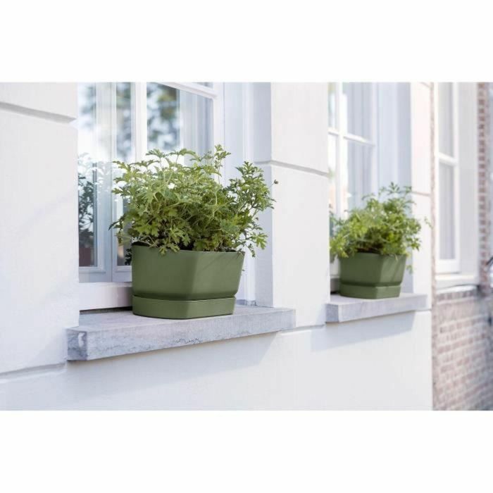 Elho Plantera ovalada Greenville Ø50cm Plástico Verde Hoja ELH8711904358389 2