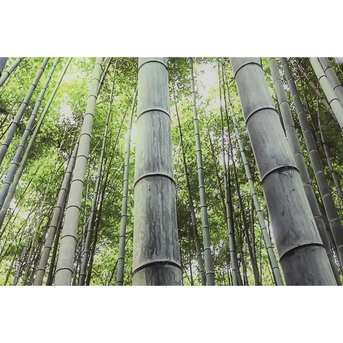 Cuadro Item Home DKD Home Decor Verde 0.4 x 100 x 150 cm 3 Cuadro Item Home DKD Home Decor Verde 0.4 x 100 x 150 cm 3