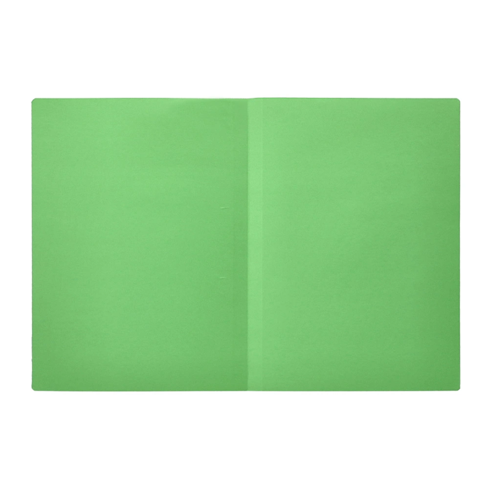 Liderpapel Subcarpeta Folio Verde Intenso 180g/m2 4