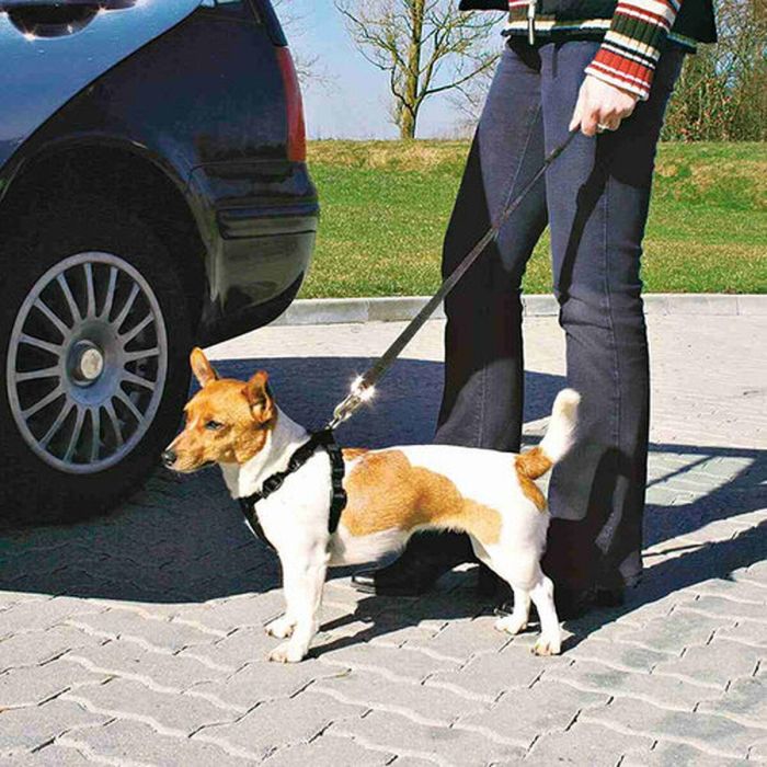Arnés para Perro Trixie Negro 1 Arnés para Perro Trixie Negro 1
