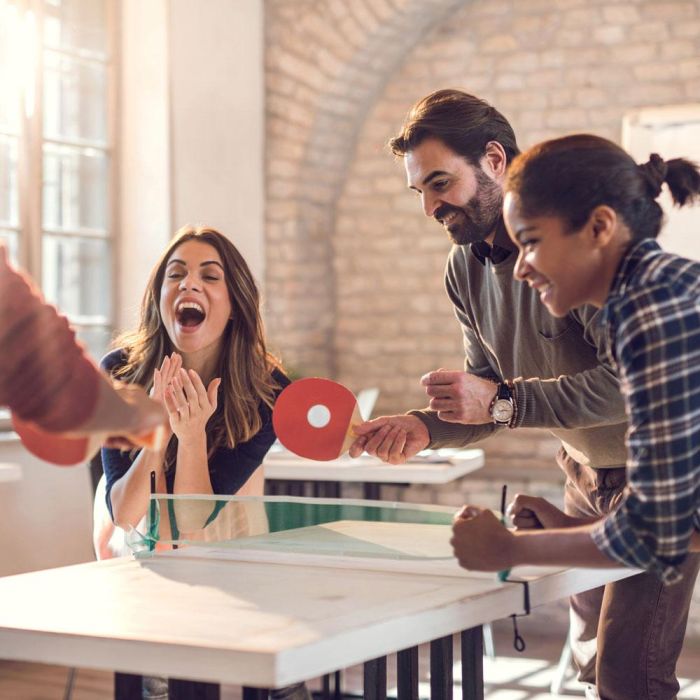 Mister Gadget Juego de Mesa Ping-Pong con Red, 2 Palas y 2 Pelotas para Divertirse en Cualquier Lugar 2