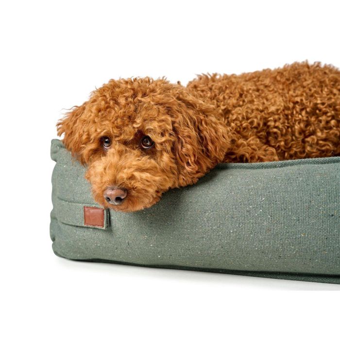 Cama para Perro Hunter Belluno Verde 80x60 cm 1