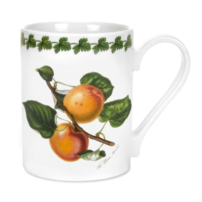 Mug 280 Ml Portmeirion (6 Unidades) 4