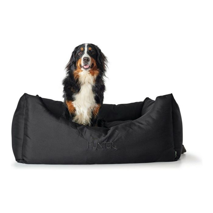 Sofá para Perro Hunter Gent Negro Poliéster black (60 x 45 cm) 6 Sofá para Perro Hunter Gent Negro Poliéster black (60 x 45 cm) 6
