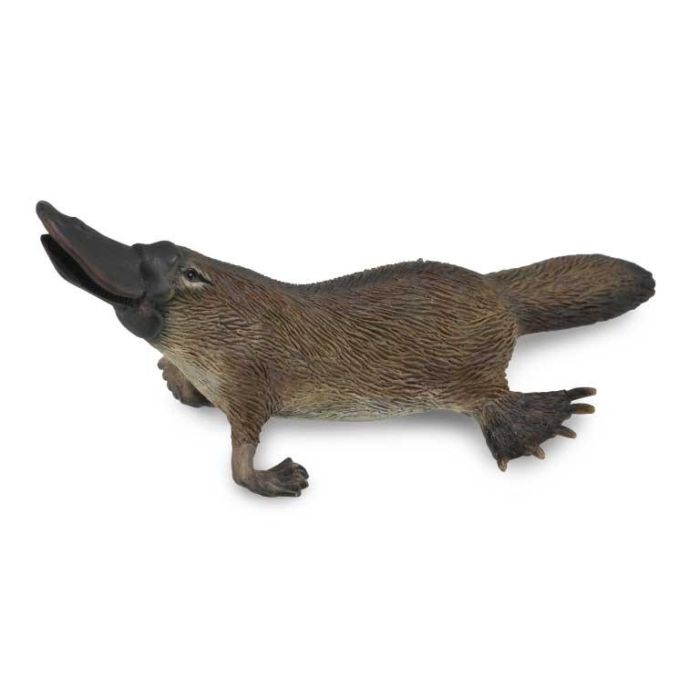 Ornitorrinco - M - 88795 - Collecta Ornitorrinco - M - 88795 - Collecta