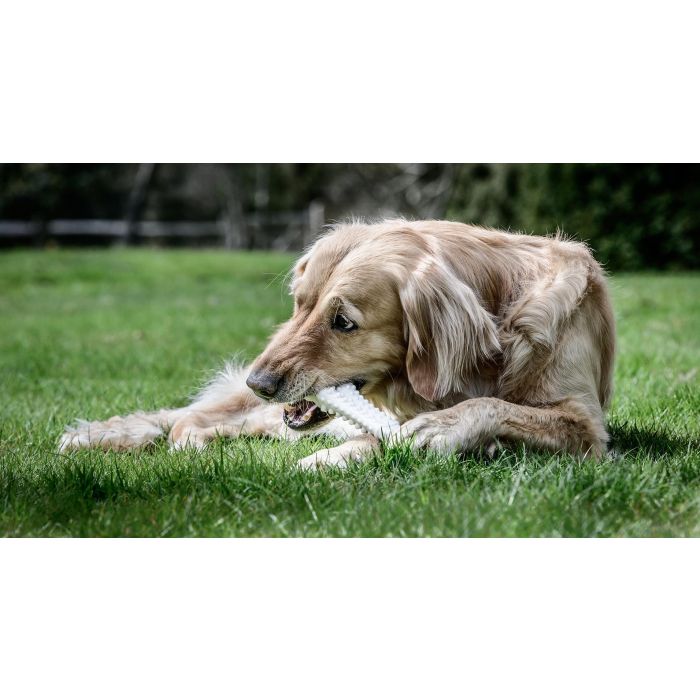 Nylabone Power Chew DuraChew Mordedor para Perros Potentes Extreme Chew XL Texturizado Sabor Pollo Nylon Duradero Cuidado Dental 0 Nylabone Power Chew DuraChew Mordedor para Perros Potentes Extreme Chew XL Texturizado Sabor Pollo Nylon Duradero Cuidado Dental 0