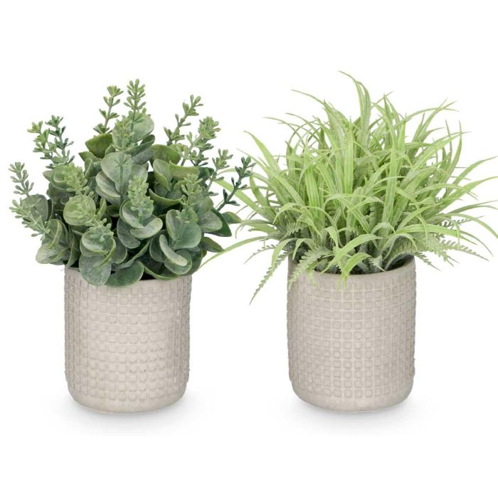 Maceta Cuadrada Hojas Verdes Surtidos Ibergarden 20x35x15cm (24 Unidades) 1 Maceta Cuadrada Hojas Verdes Surtidos Ibergarden 20x35x15cm (24 Unidades) 1