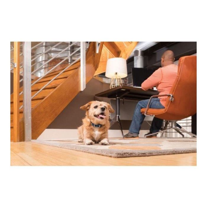 Petsafe Sistema de Entrenamiento Perros 300m con Collar Estático Vibración Sonido Impermeable y Recargable para Adiestramiento Canino >3.6kg 2 Petsafe Sistema de Entrenamiento Perros 300m con Collar Estático Vibración Sonido Impermeable y Recargable para Adiestramiento Canino >3.6kg 2