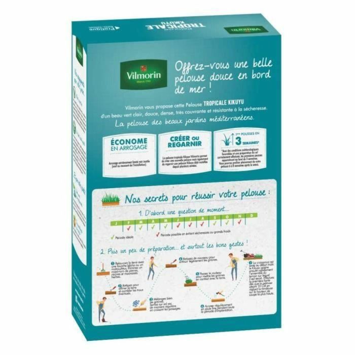 Vilmorin VIL3182670261374 Semillas de Hierbas Tropicales Kikuyu - 500 g 1