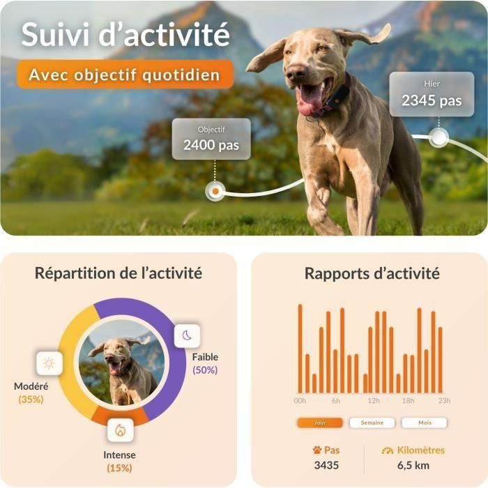 Weenect WEE3770000300796 Collar GPS para perros Dog XT Antena XL Resistente al agua compatible Julius-K9 Negro - Requiere suscripción 3 Weenect WEE3770000300796 Collar GPS para perros Dog XT Antena XL Resistente al agua compatible Julius-K9 Negro - Requiere suscripción 3
