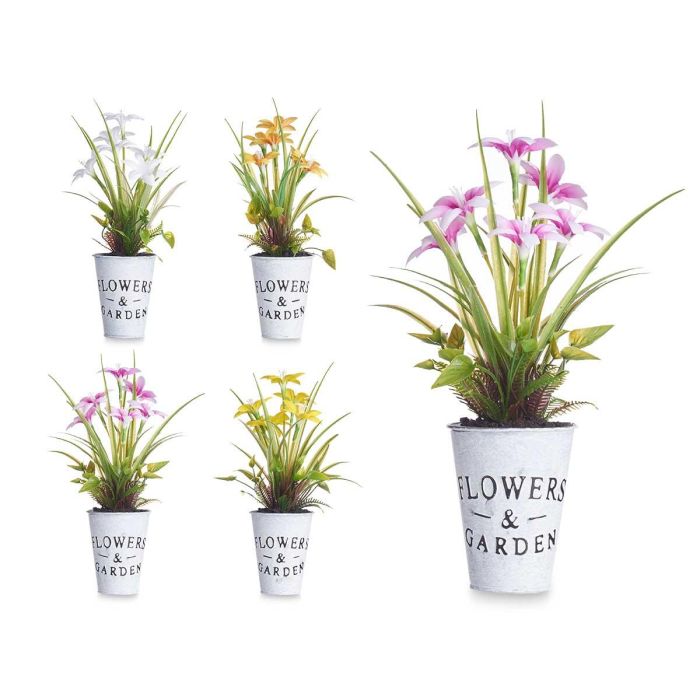 Planta Flor Abierta Peq Bote Metal Surtidos Ibergarden 15X36CM (12 Unidades) Planta Flor Abierta Peq Bote Metal Surtidos Ibergarden 15X36CM (12 Unidades)