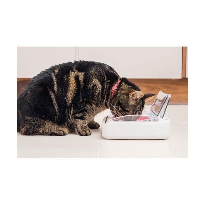 SUREFLAP Dispensador automático de alimentos - recipiente hermético SureFeed - para gatos y perros pequeños 5 SUREFLAP Dispensador automático de alimentos - recipiente hermético SureFeed - para gatos y perros pequeños 5