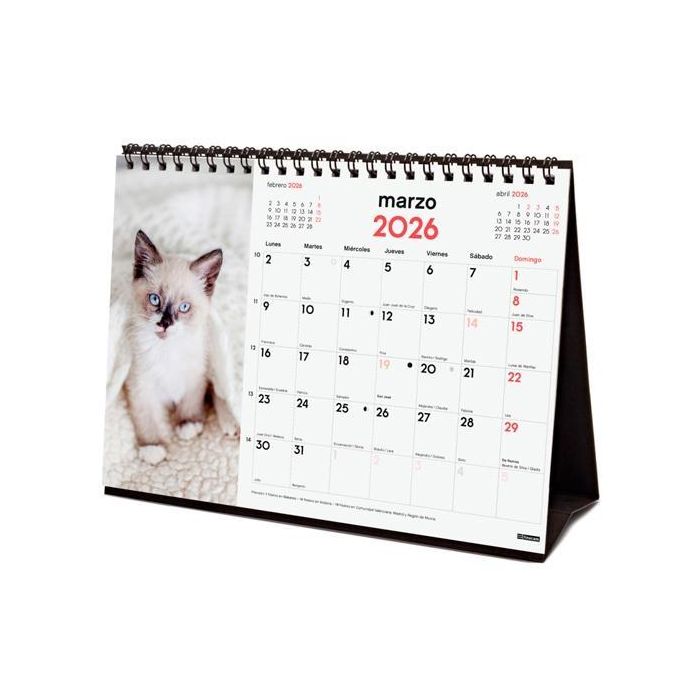 Finocam S-210x150 mm Calendario de Sobremesa 2026 con Espiral, Planificador Anual Imágenes Gatitos para Oficina y Hogar