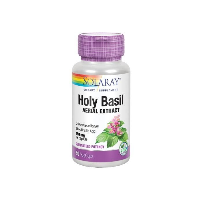Holly Basil Holly Basil