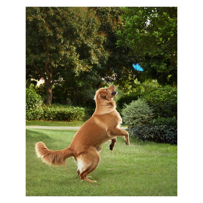 Videocámara de Vigilancia Eufy T81243W1 10