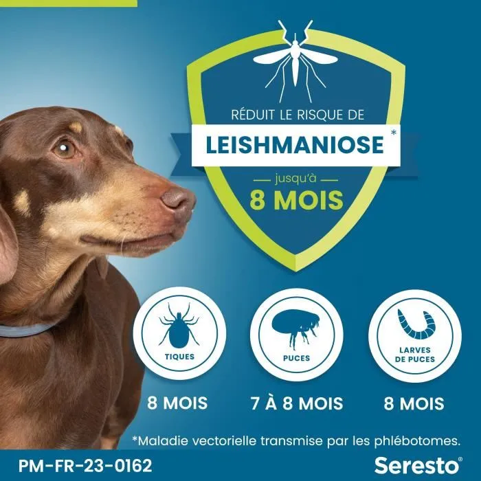 Seresto Collar Antiparasitario Control de Plagas para Perros Pequeños (hasta 8 kg) - 7 a 8 Meses de Protección 3 Seresto Collar Antiparasitario Control de Plagas para Perros Pequeños (hasta 8 kg) - 7 a 8 Meses de Protección 3