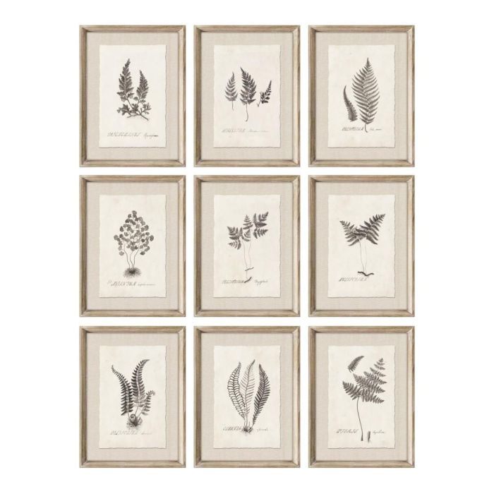 DKD Home Decor Cuadro Cottage Botánico Gris y Blanco de Abeto y Cristal 30x40 cm (9 Unidades)