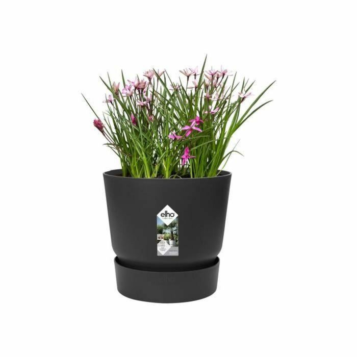 Elho Greenville 47 Maceta Redonda Exterior Ø 47 x H 44.1 cm Negro Living Plástico Reciclado Resistente Heladas Depósito Agua 3 Elho Greenville 47 Maceta Redonda Exterior Ø 47 x H 44.1 cm Negro Living Plástico Reciclado Resistente Heladas Depósito Agua 3