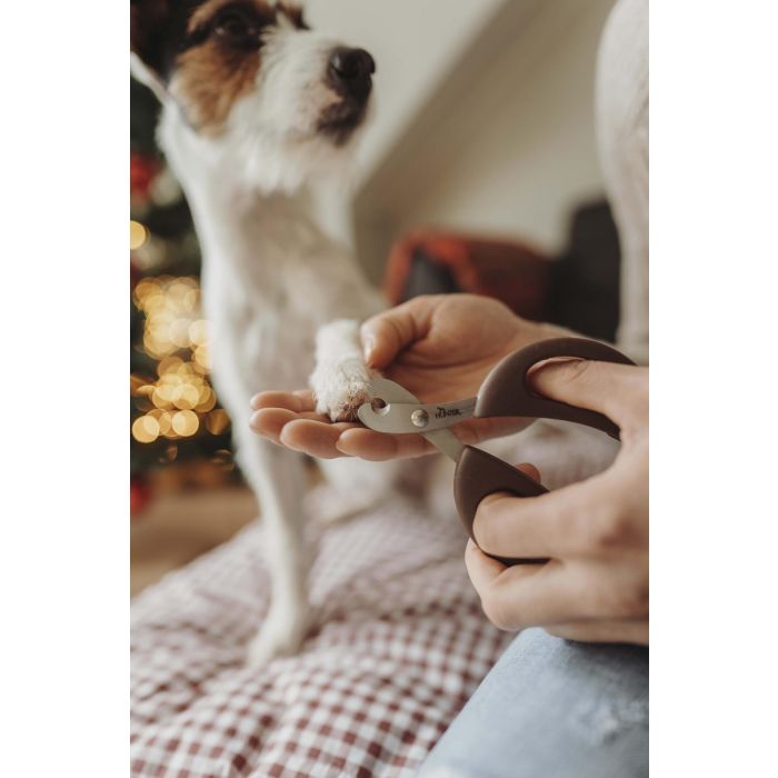 Hunter Tijera Corta Uñas de Precisión para Perros, Gatos, Pájaros y Pequeños Animales. Hoja Acero Inoxidable, Mango Ergonómico 2