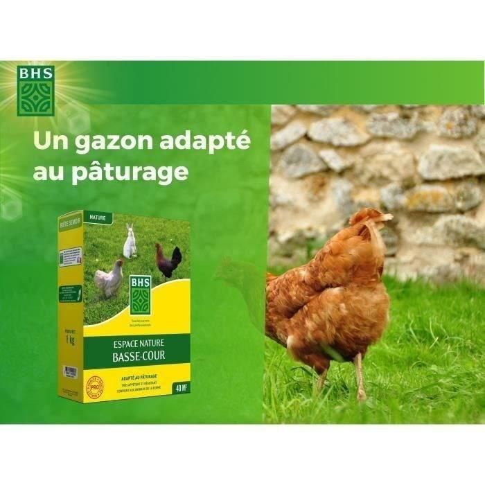 Césped - BHS - Espace Nature 1kg | 40m² | Alto en proteínas, rápido, homogéneo | Bienestar animal al aire libre. 1 Césped - BHS - Espace Nature 1kg | 40m² | Alto en proteínas, rápido, homogéneo | Bienestar animal al aire libre. 1