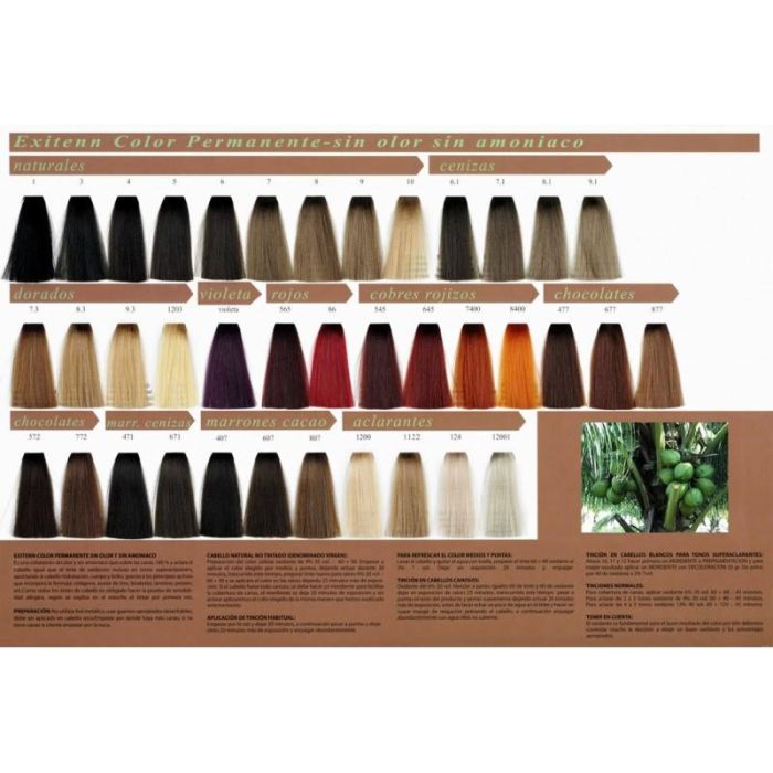 Exitenn Color Permanente 8400 Sin Amoniaco con Colágeno y Aceite de Lino, Alta Cobertura de Canas 1 Exitenn Color Permanente 8400 Sin Amoniaco con Colágeno y Aceite de Lino, Alta Cobertura de Canas 1