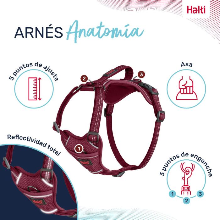 Halti Arnés de Perro Anatomy Burdeos Ajustable Acolchado Neopreno con Asa Reflectante 360° Control Dinámico Talla L (60-85cm Cuerpo) 4 Halti Arnés de Perro Anatomy Burdeos Ajustable Acolchado Neopreno con Asa Reflectante 360° Control Dinámico Talla L (60-85cm Cuerpo) 4