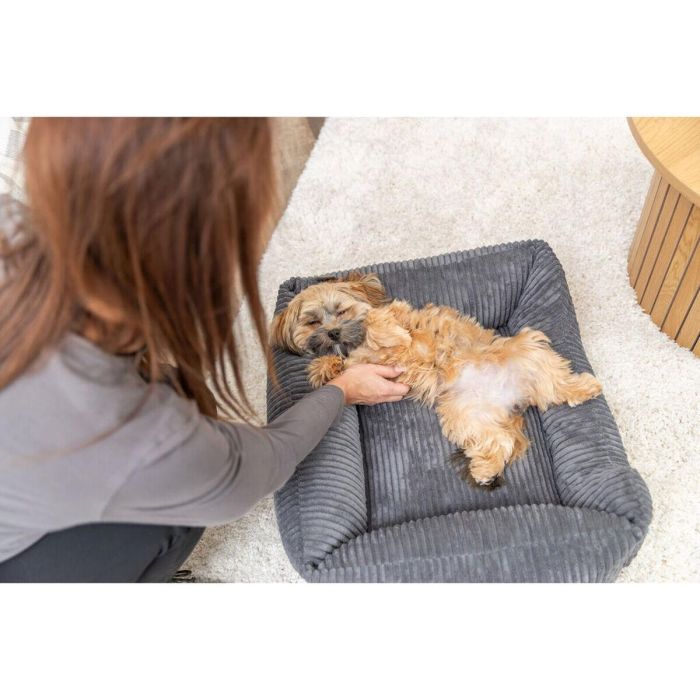 Cama para Perro Trixie Vital Jonna Gris oscuro 60 x 50 cm 1 Cama para Perro Trixie Vital Jonna Gris oscuro 60 x 50 cm 1