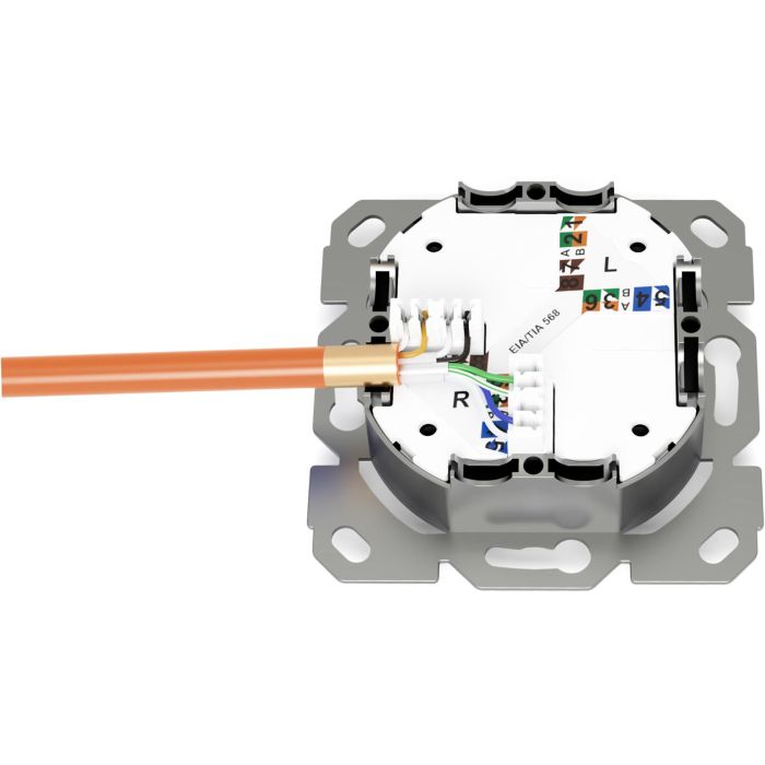 Digitus Toma de Red CAT 6A Clase EA Apantallada RJ45 Blanco 3