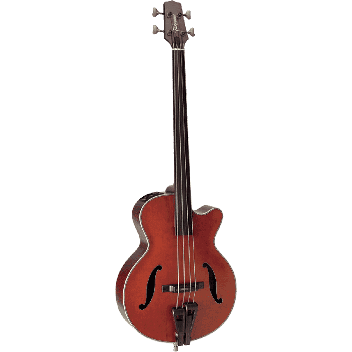 Bajo Acústico Takamine Db10 Fretless E/A F-Hole Cutaway 5