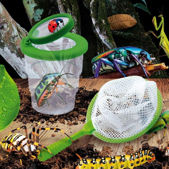 Juego de Ciencia Lisciani Giochi Insectos ES (6 Unidades) 2