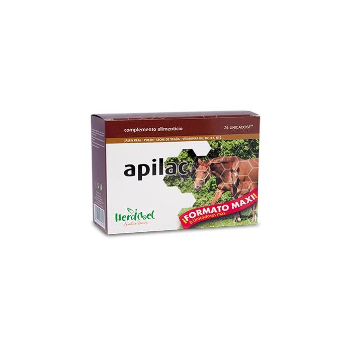 Apilac 24 Amp