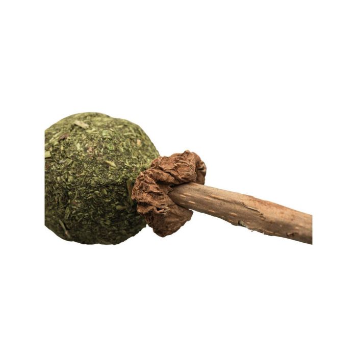 Snack para Gatos Trixie Catnip/Matatabi 2 Snack para Gatos Trixie Catnip/Matatabi 2