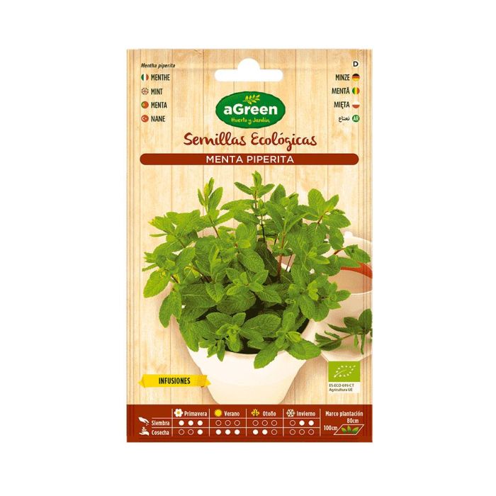 Agreen Sobre con semillas eco de menta, vivaz, altura 40-50cm, para infusión