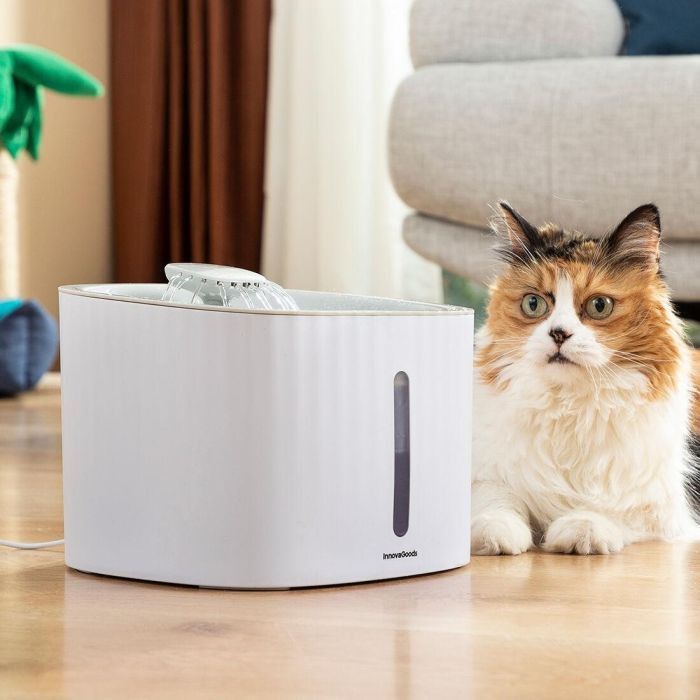 Pack Clip de Selfies para Mascotas y Fuente para Mascotas InnovaGoods 10