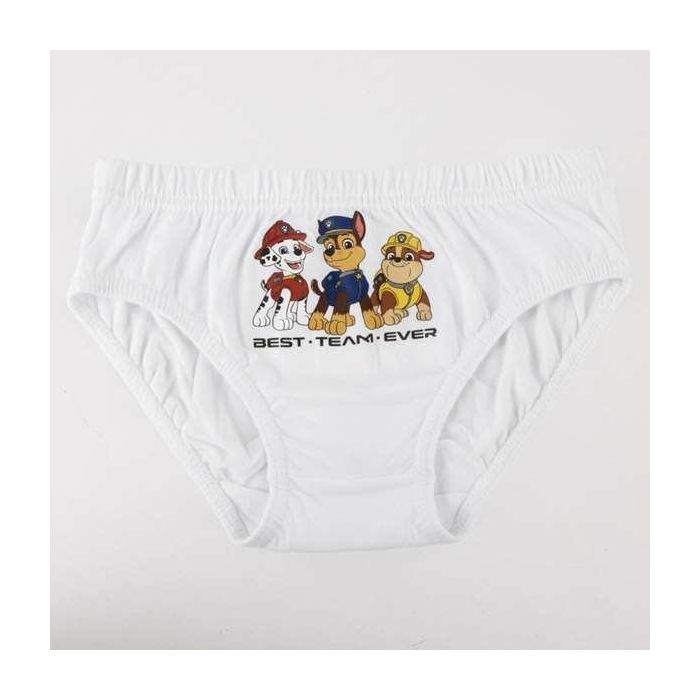 Cerdá Pack Calzoncillos Single Jersey 3 Piezas Paw Patrol T04/05