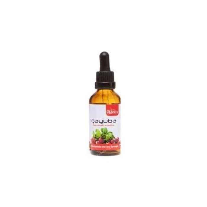 Maese Herbario Extracto de Gayuba 50ml para Infecciones Urinarias