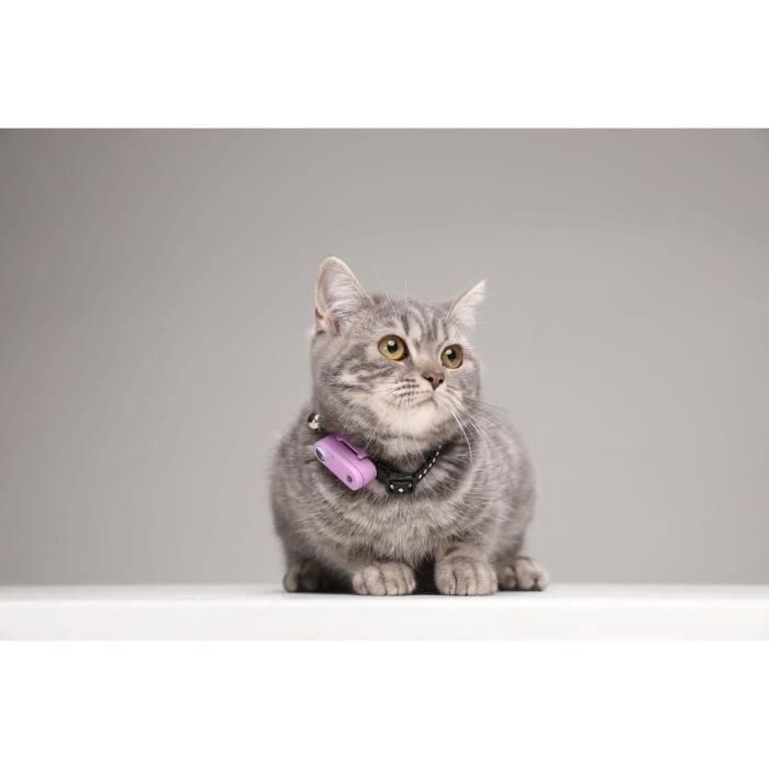 Tickless TIC5999566451638 Repelente Ultrasónico para Gatos, Protección eficaz contra Pulgas y Garrapatas, Modelo MINI CAT, Color Organ Purple 4