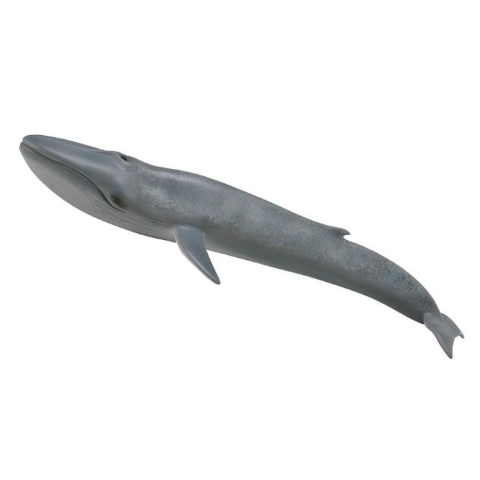 Collecta 88834 Ballena Azul XL, Figura Animal Marino Detallada y Realista. Nuevo Modelo Gris Sombreado Ideal para Niños +3 Años Collecta 88834 Ballena Azul XL, Figura Animal Marino Detallada y Realista. Nuevo Modelo Gris Sombreado Ideal para Niños +3 Años