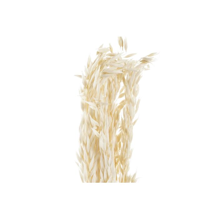 Ramo DKD Home Decor Beige 3 x 57 x 8 cm (12 Unidades) 1 Ramo DKD Home Decor Beige 3 x 57 x 8 cm (12 Unidades) 1