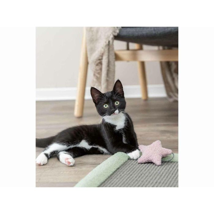 Trixie 4047974444375 Alfombra rascadora infantil 47 x 47 cm Gris/Menta 3