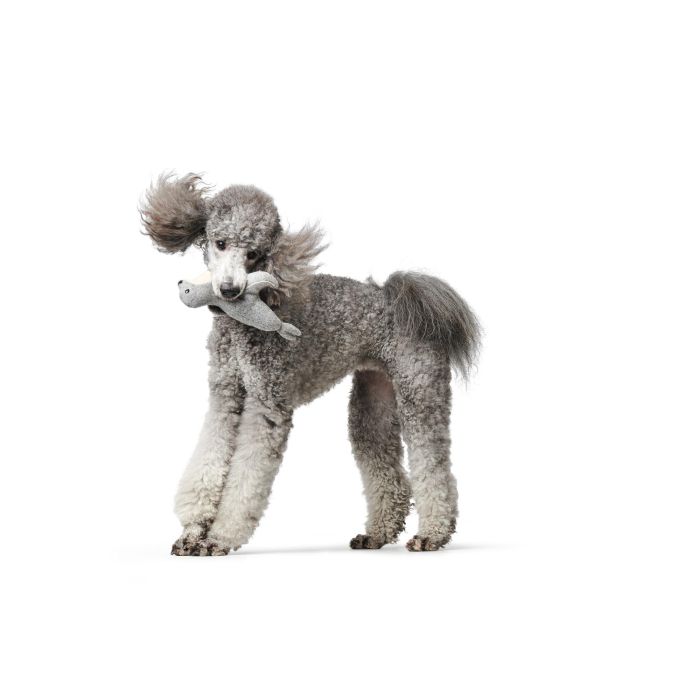 Juguete Para Perro Skagen Foca M Juguete Para Perro Skagen Foca M